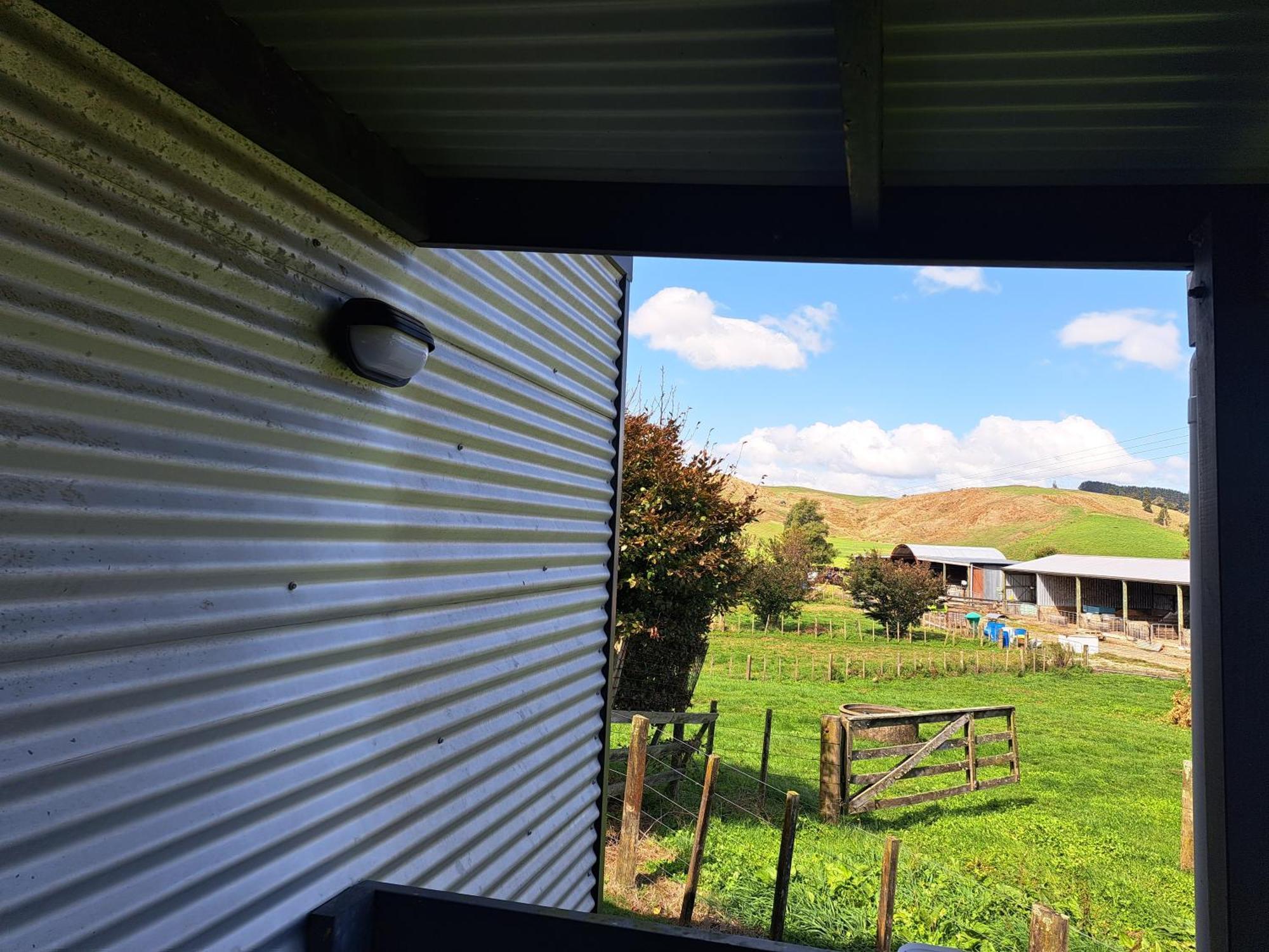 Crinkly Cottage Te Kuiti Zewnętrze zdjęcie